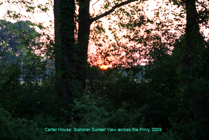 Carter_House_33.jpg