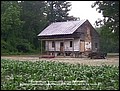 Carter_House_05.jpg